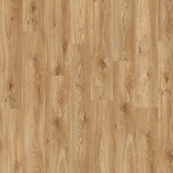 Вінілова підлога IVC Moduleo Roots Sierra Oak 58346